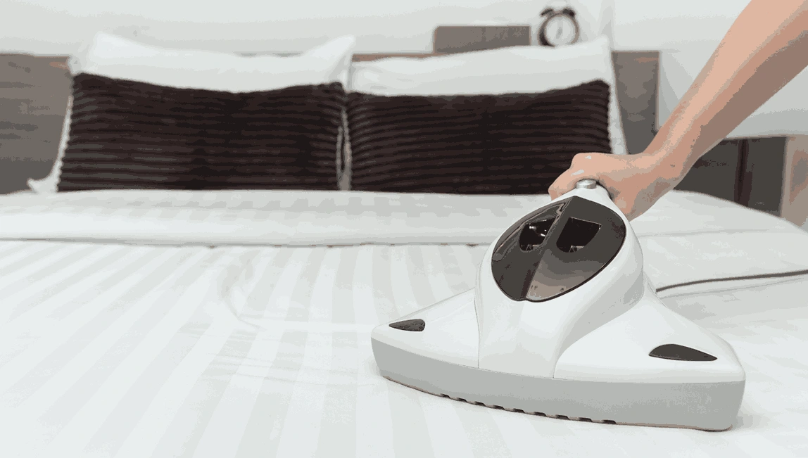 Professional Mattress Cleaning New Gisborne